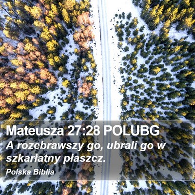 Mateusza 27:28 POLUBG Bible Verse Image