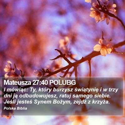 Mateusza 27:40 POLUBG Bible Verse Image