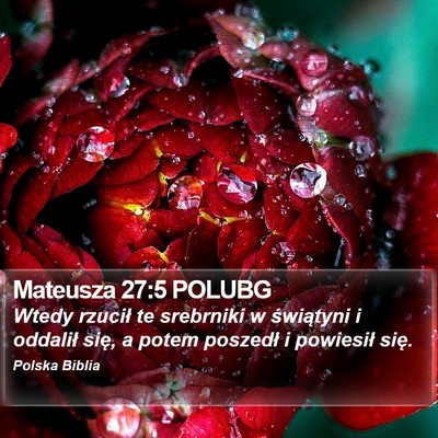 Mateusza 27:5 POLUBG Bible Verse Image