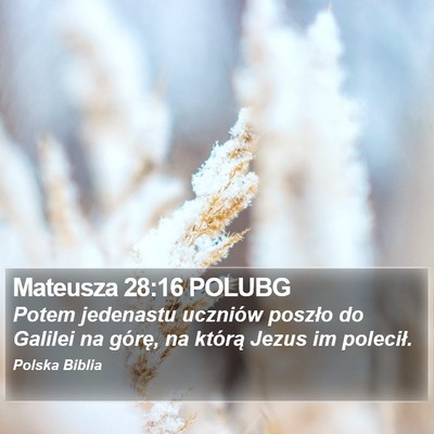 Mateusza 28:16 POLUBG Bible Verse Image