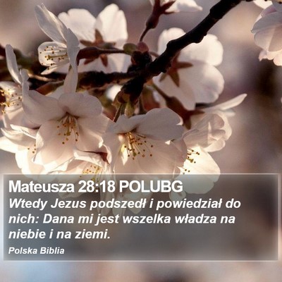 Mateusza 28:18 POLUBG Bible Verse Image