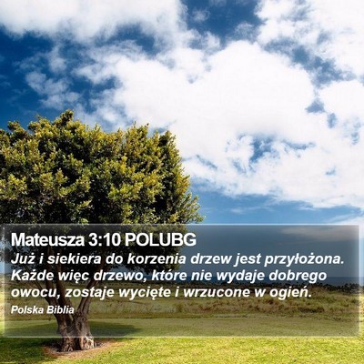 Mateusza 3:10 POLUBG Bible Verse Image