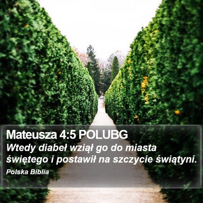 Mateusza 4:5 POLUBG Bible Verse Image