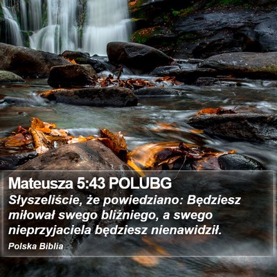 Mateusza 5:43 POLUBG Bible Verse Image