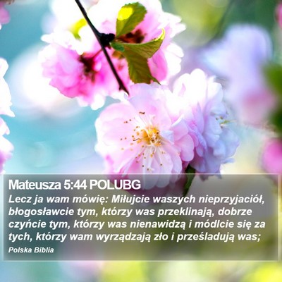 Mateusza 5:44 POLUBG Bible Verse Image