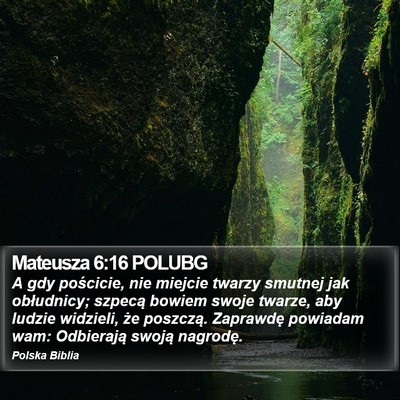 Mateusza 6:16 POLUBG Bible Verse Image