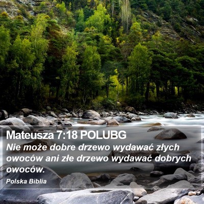Mateusza 7:18 POLUBG Bible Verse Image