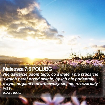 Mateusza 7:6 POLUBG Bible Verse Image