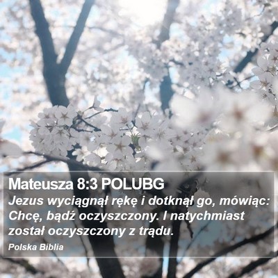 Mateusza 8:3 POLUBG Bible Verse Image