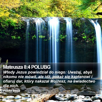 Mateusza 8:4 POLUBG Bible Verse Image