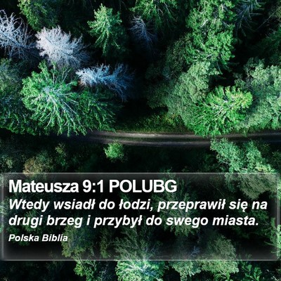 Mateusza 9:1 POLUBG Bible Verse Image