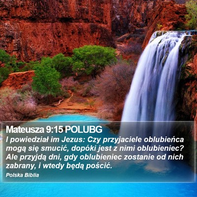 Mateusza 9:15 POLUBG Bible Verse Image