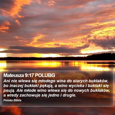 Mateusza 9:17 POLUBG Bible Verse Image