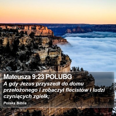 Mateusza 9:23 POLUBG Bible Verse Image