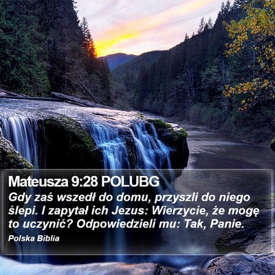 Mateusza 9:28 POLUBG Bible Verse Image