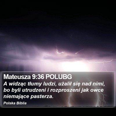 Mateusza 9:36 POLUBG Bible Verse Image
