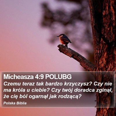 Micheasza 4:9 POLUBG Bible Verse Image