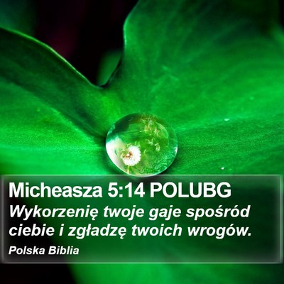 Micheasza 5:14 POLUBG Bible Verse Image