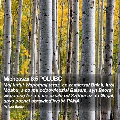 Micheasza 6:5 POLUBG Bible Verse Image