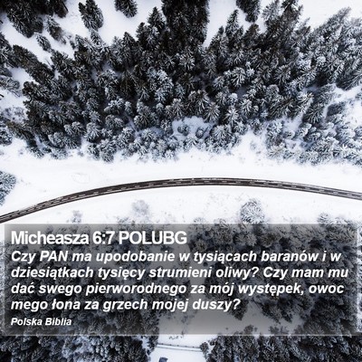Micheasza 6:7 POLUBG Bible Verse Image