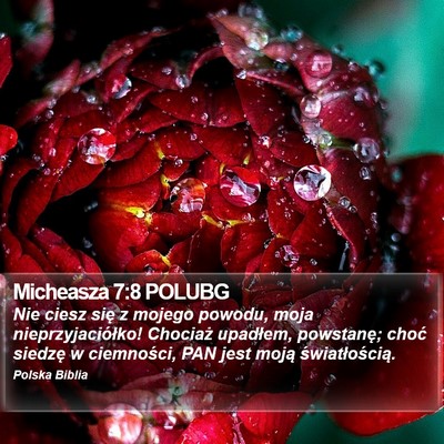 Micheasza 7:8 POLUBG Bible Verse Image