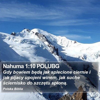 Nahuma 1:10 POLUBG Bible Verse Image