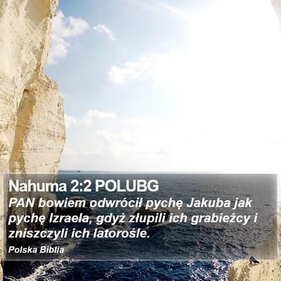 Nahuma 2:2 POLUBG Bible Verse Image