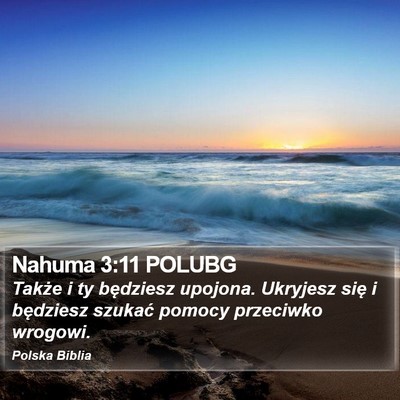 Nahuma 3:11 POLUBG Bible Verse Image