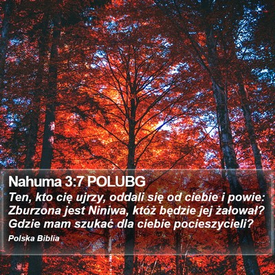 Nahuma 3:7 POLUBG Bible Verse Image
