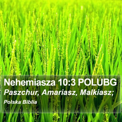 Nehemiasza 10:3 POLUBG Bible Verse Image