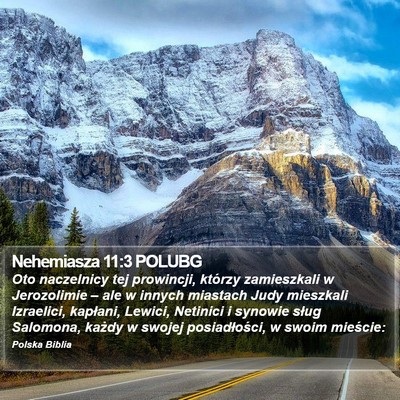 Nehemiasza 11:3 POLUBG Bible Verse Image
