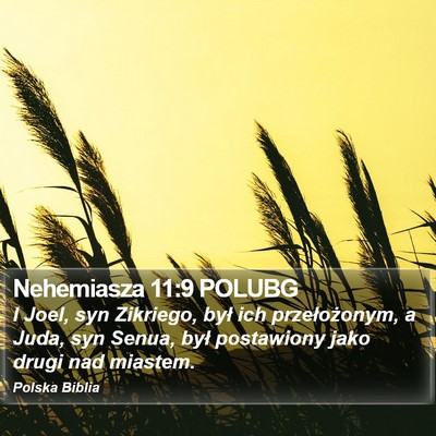 Nehemiasza 11:9 POLUBG Bible Verse Image