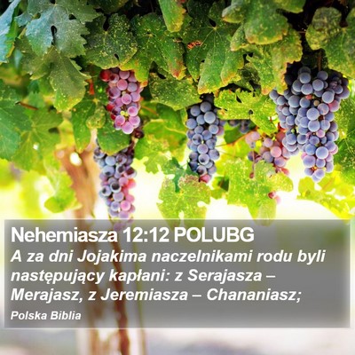 Nehemiasza 12:12 POLUBG Bible Verse Image