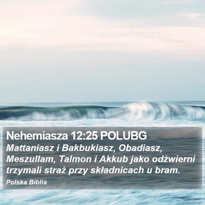 Nehemiasza 12:25 POLUBG Bible Verse Image