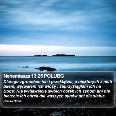 Nehemiasza 13:25 POLUBG Bible Verse Image