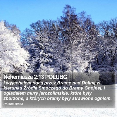 Nehemiasza 2:13 POLUBG Bible Verse Image