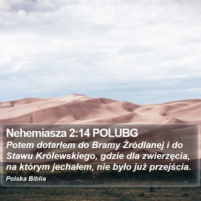 Nehemiasza 2:14 POLUBG Bible Verse Image