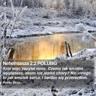 Nehemiasza 2:2 POLUBG Bible Verse Image