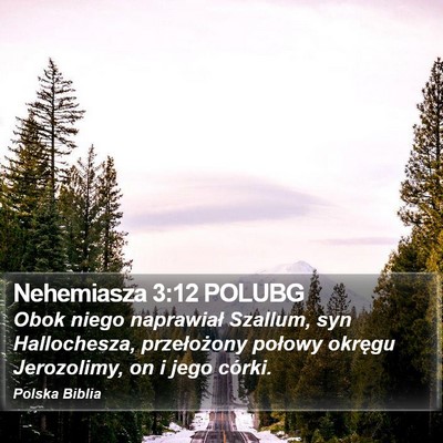 Nehemiasza 3:12 POLUBG Bible Verse Image