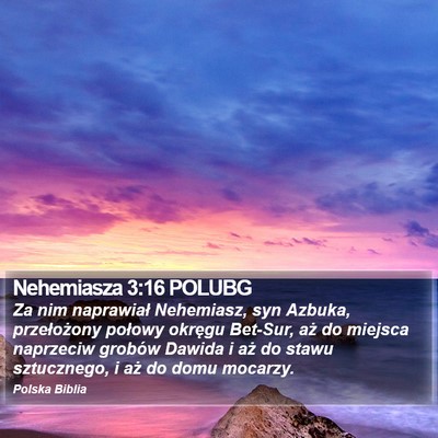 Nehemiasza 3:16 POLUBG Bible Verse Image