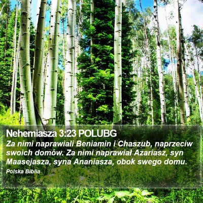 Nehemiasza 3:23 POLUBG Bible Verse Image