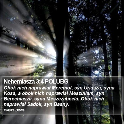 Nehemiasza 3:4 POLUBG Bible Verse Image