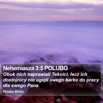 Nehemiasza 3:5 POLUBG Bible Verse Image