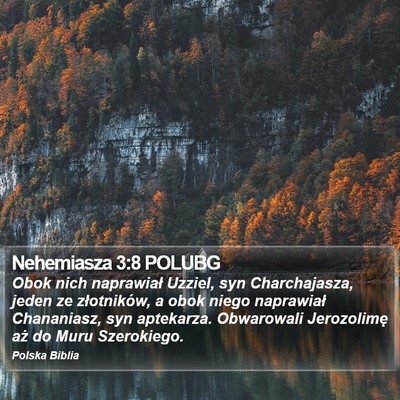 Nehemiasza 3:8 POLUBG Bible Verse Image