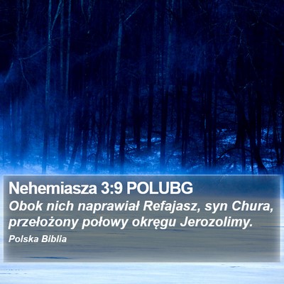 Nehemiasza 3:9 POLUBG Bible Verse Image
