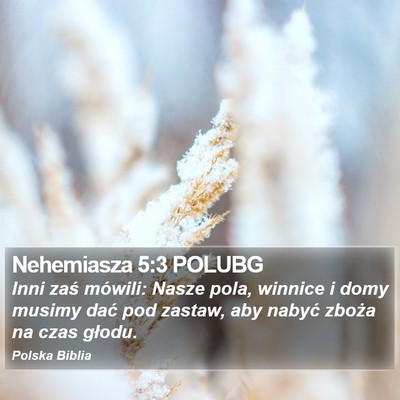 Nehemiasza 5:3 POLUBG Bible Verse Image