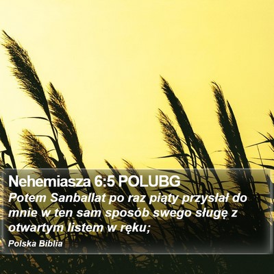Nehemiasza 6:5 POLUBG Bible Verse Image