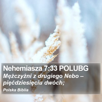 Nehemiasza 7:33 POLUBG Bible Verse Image
