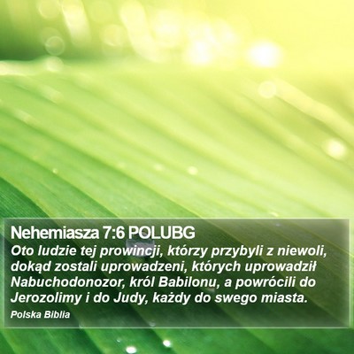 Nehemiasza 7:6 POLUBG Bible Verse Image