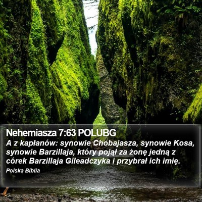 Nehemiasza 7:63 POLUBG Bible Verse Image